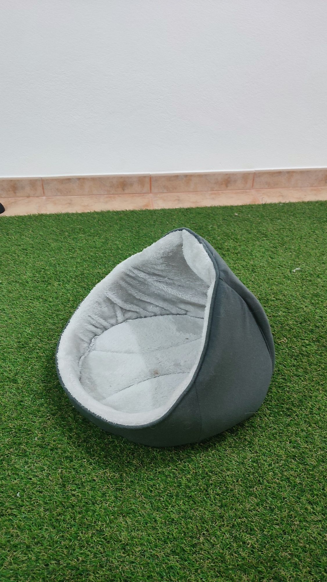 Caminha para gatos
