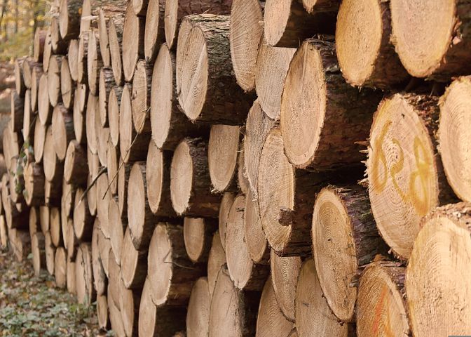 Продам дрова. Дуб, Граб, Акация, Ольха, Береза. З ДОСТАВКОЮ!