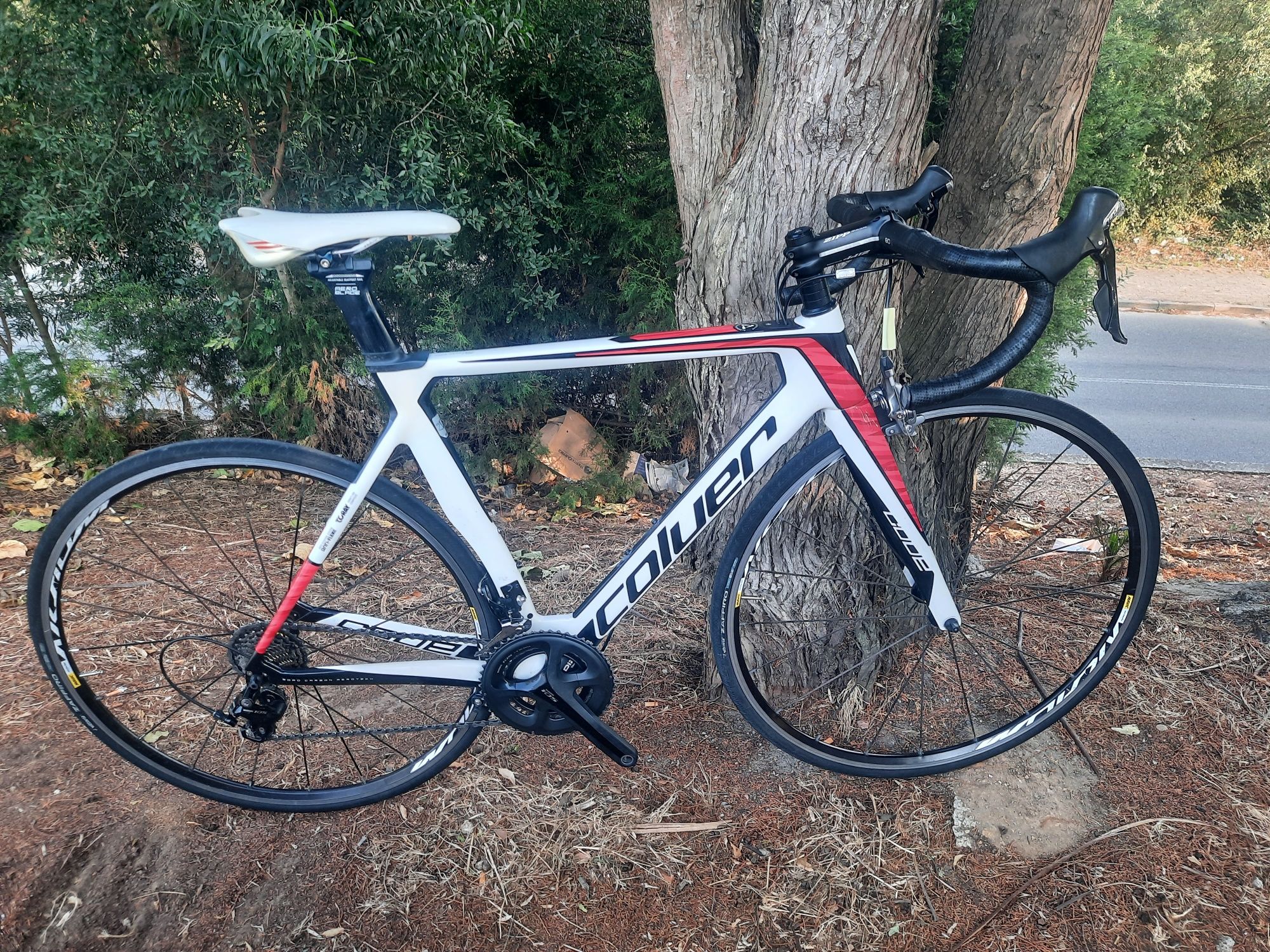 Bicicleta de carbono 11x2v com mavic