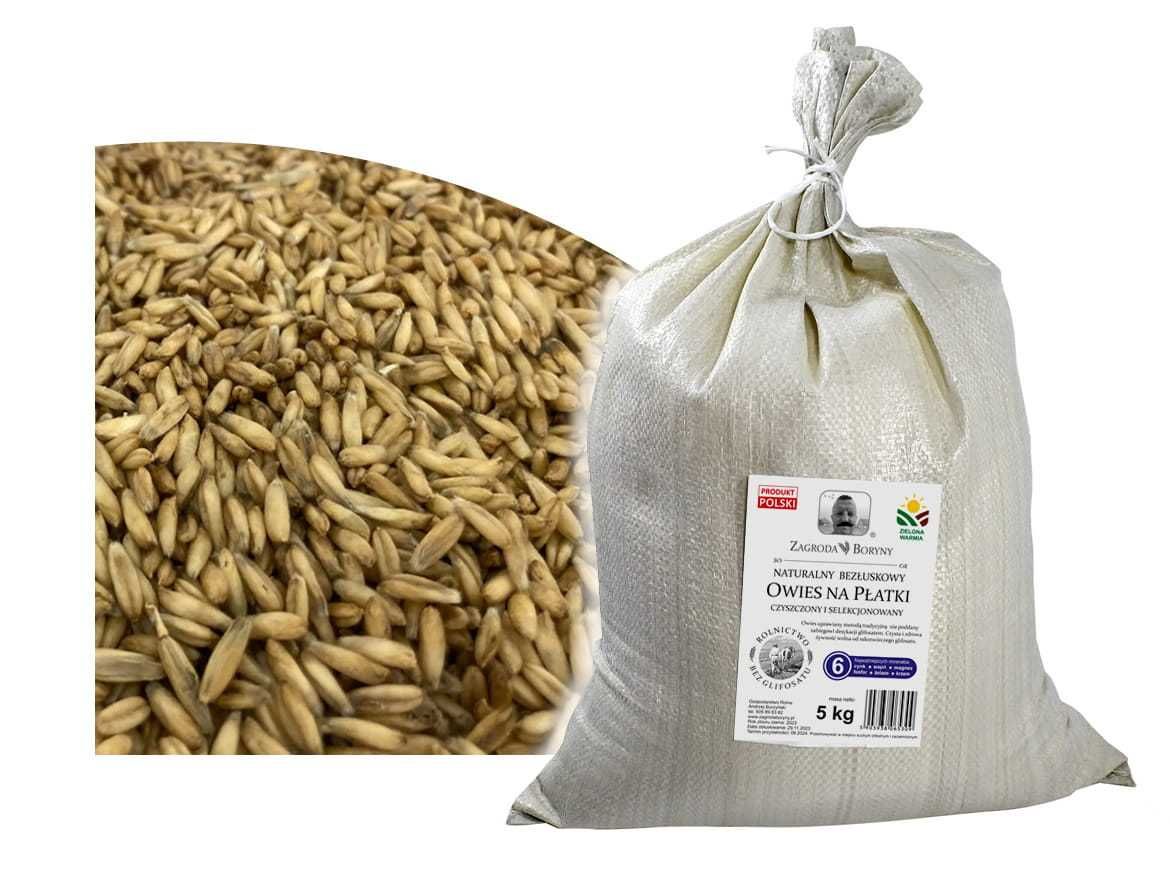 Owies Bezłuskowy na Domowe Płatki Owsiane 5 KG bez Glifosatu