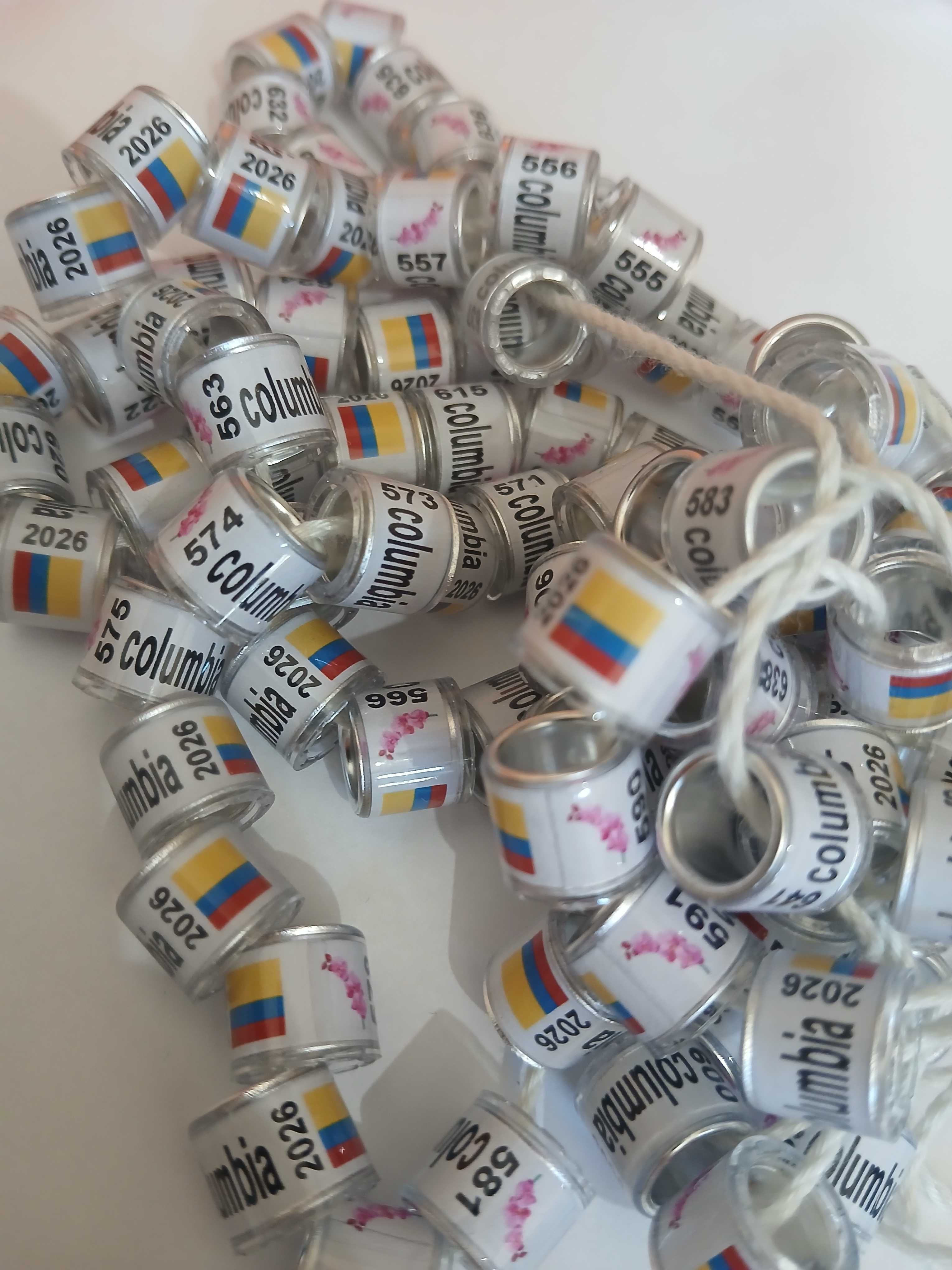 Obraczki dla golebi na rok 2026 unikaty