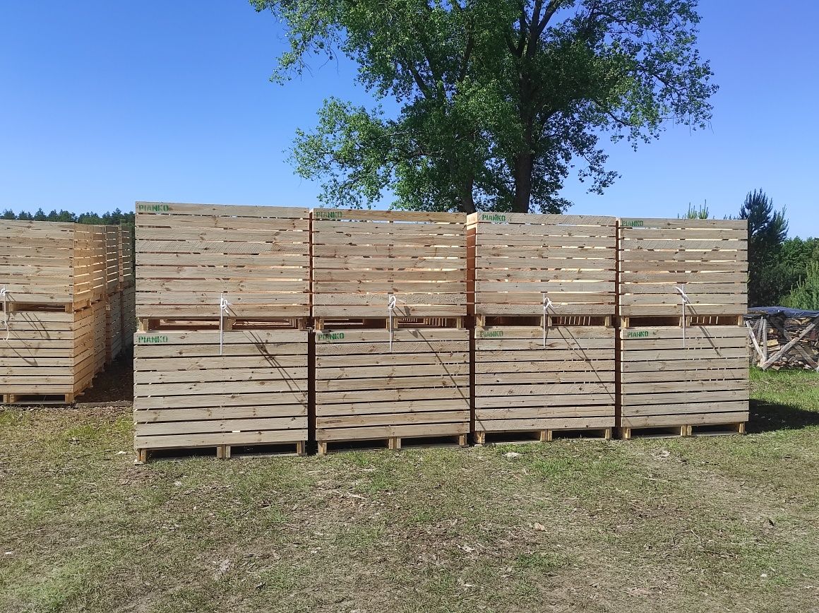 SOLIDNE Skrzyniopalety Skrzynie na Warzywa Sortownie 120x100x100