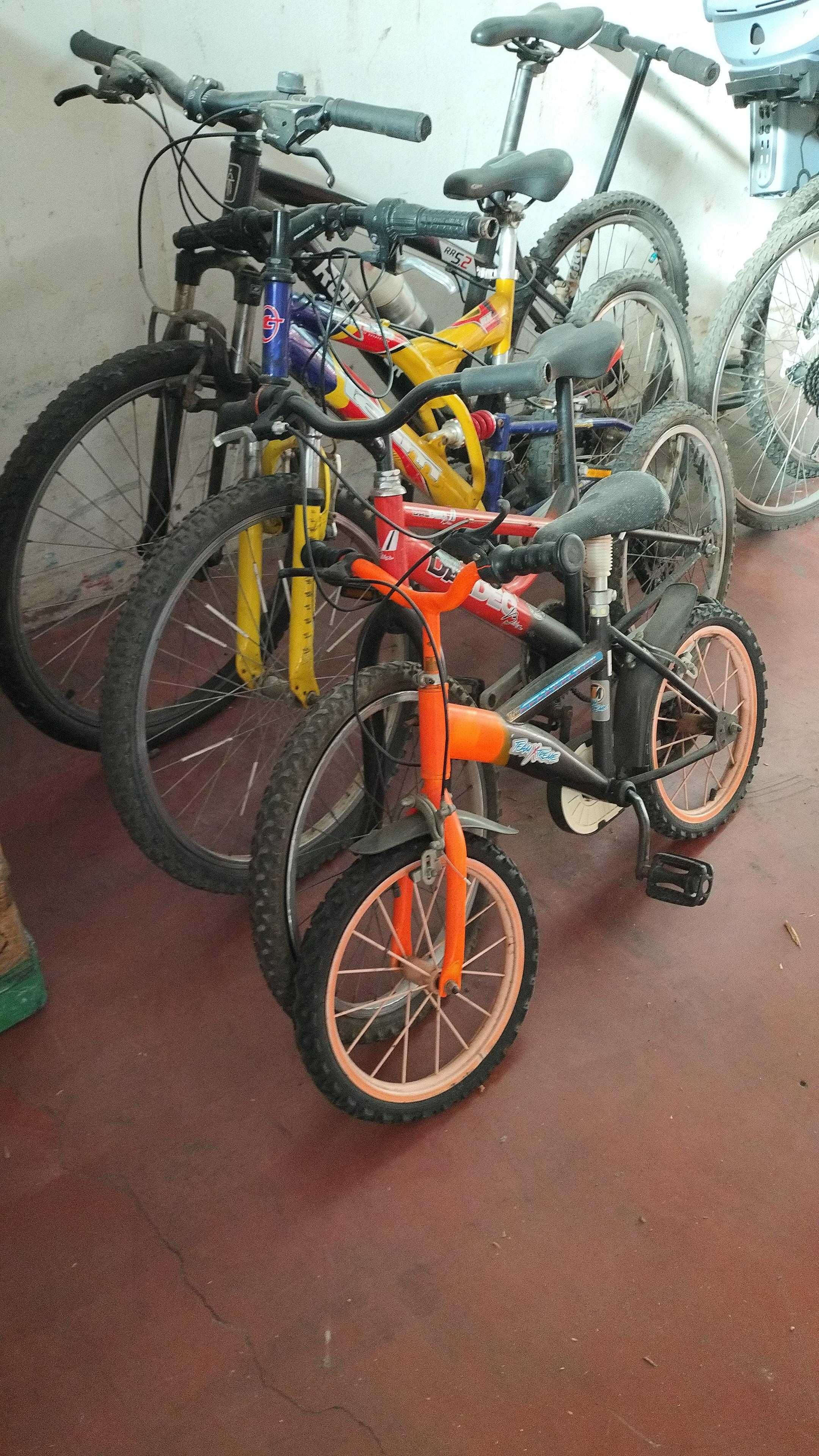 Bicicletas variadas / Trotinete