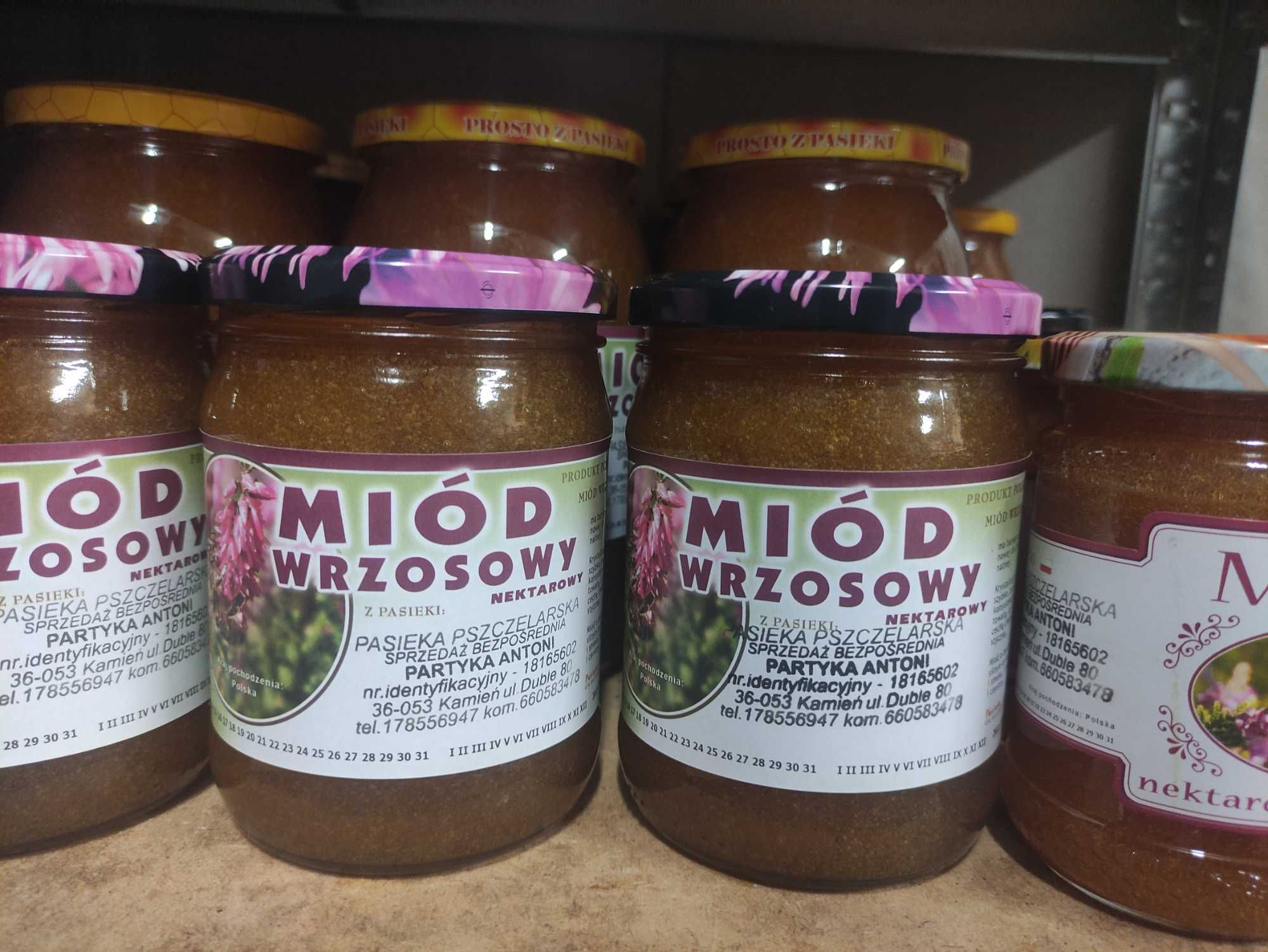 Miód spadziowy iglasty z Roztocza