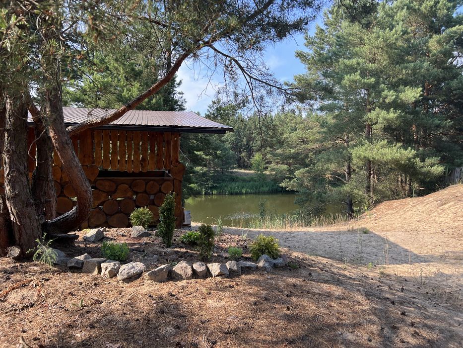 Оренда будиночку з сауною в лісі, біля води.