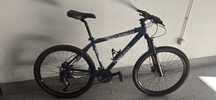 Bicicleta alumínio BERG