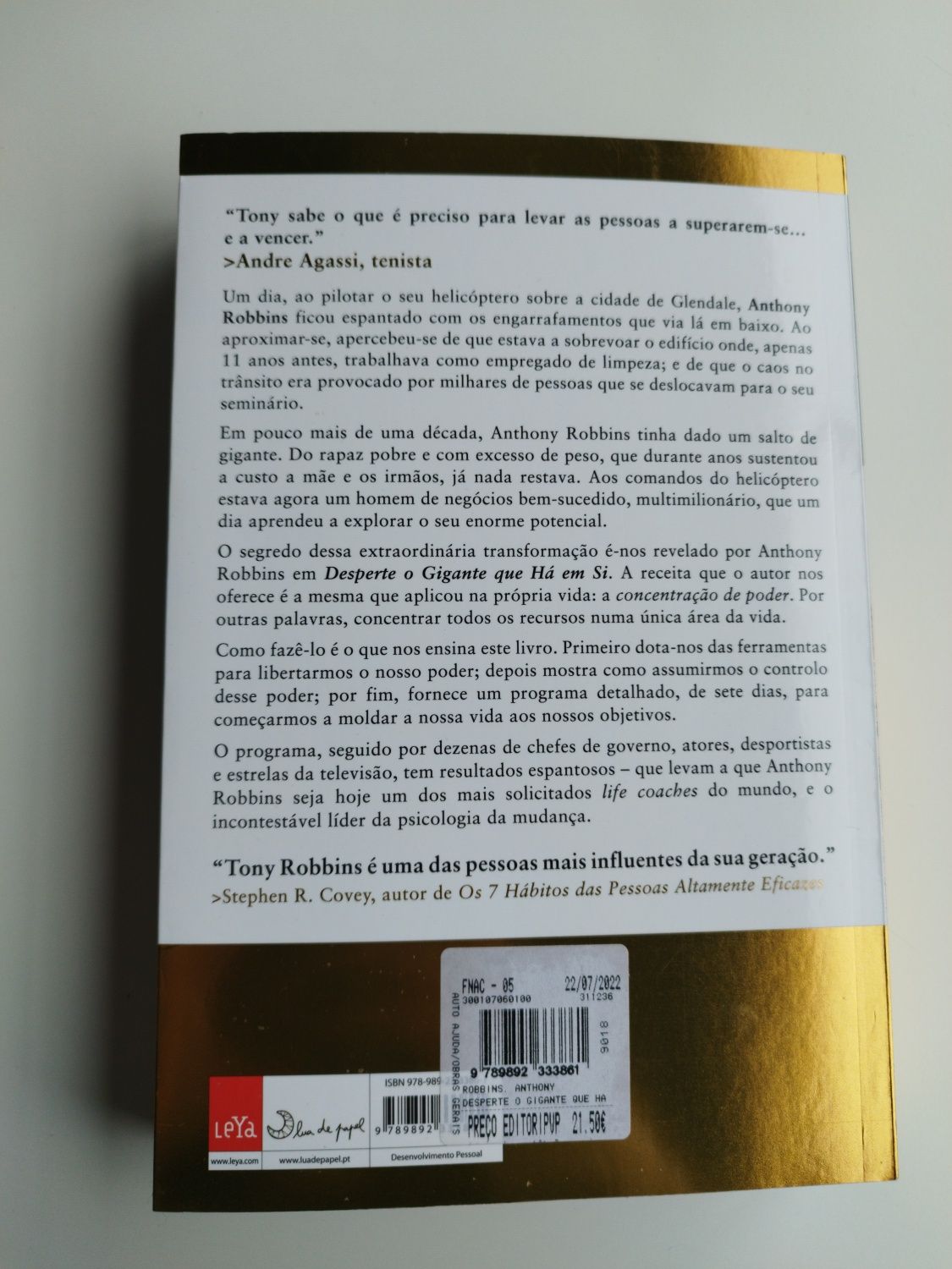 Livro "desperte o gigante que há em si"