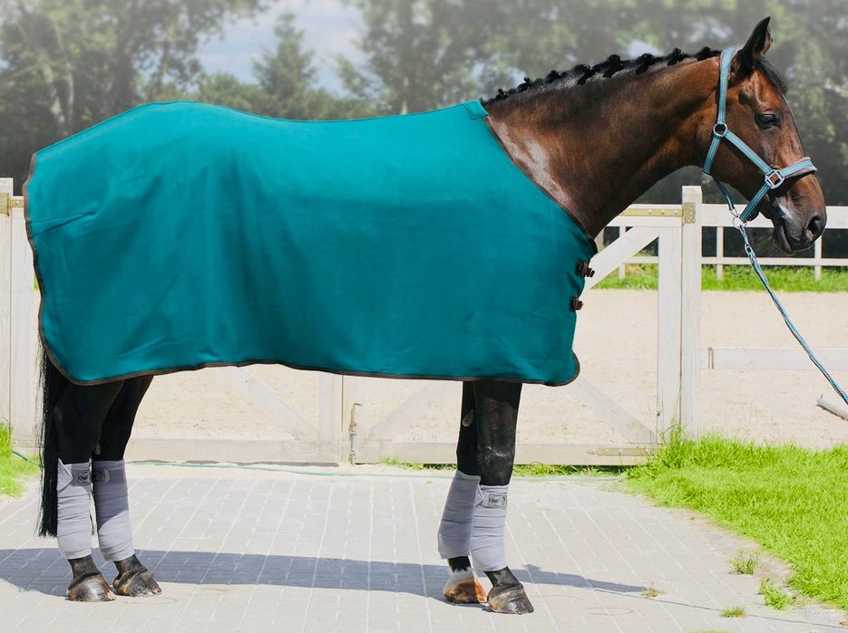 Derka polarowa ekona dla konia koni fioletowa 125