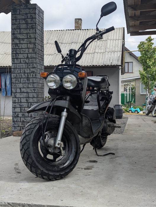 Honda Zoomer (Ruckus)