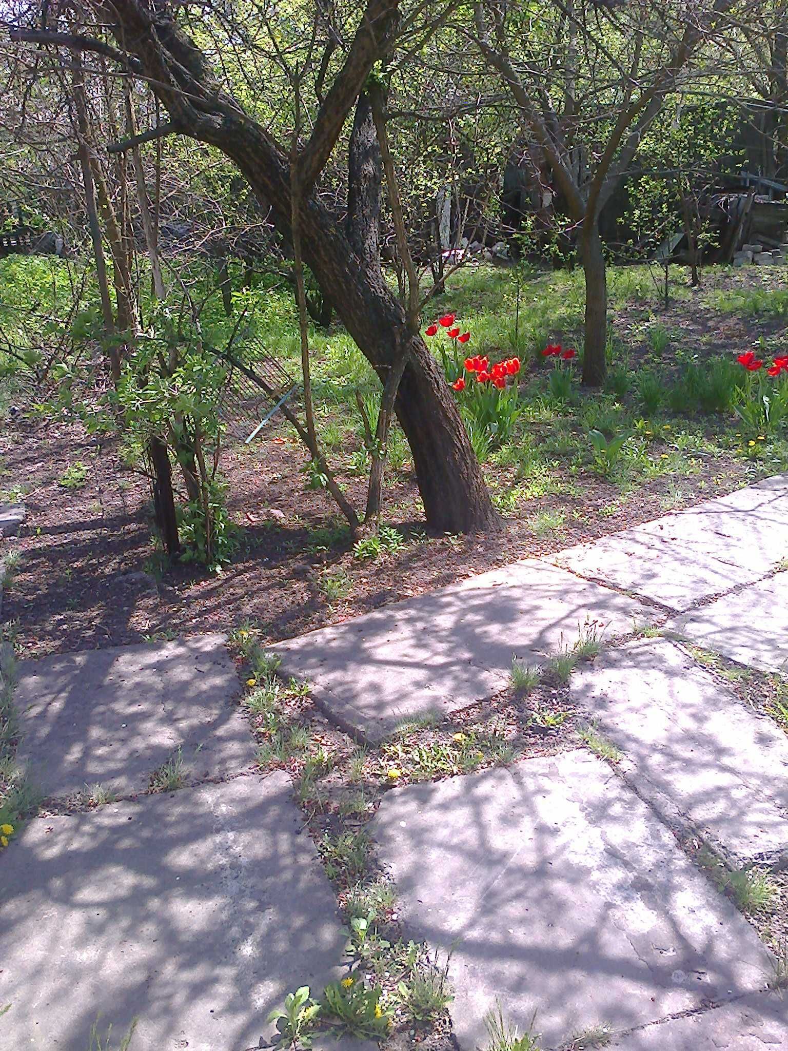 Дом в селе Баловка