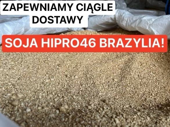 Śruta Soja Hipro46 Brazylijska*Dostępne Od Ręki*