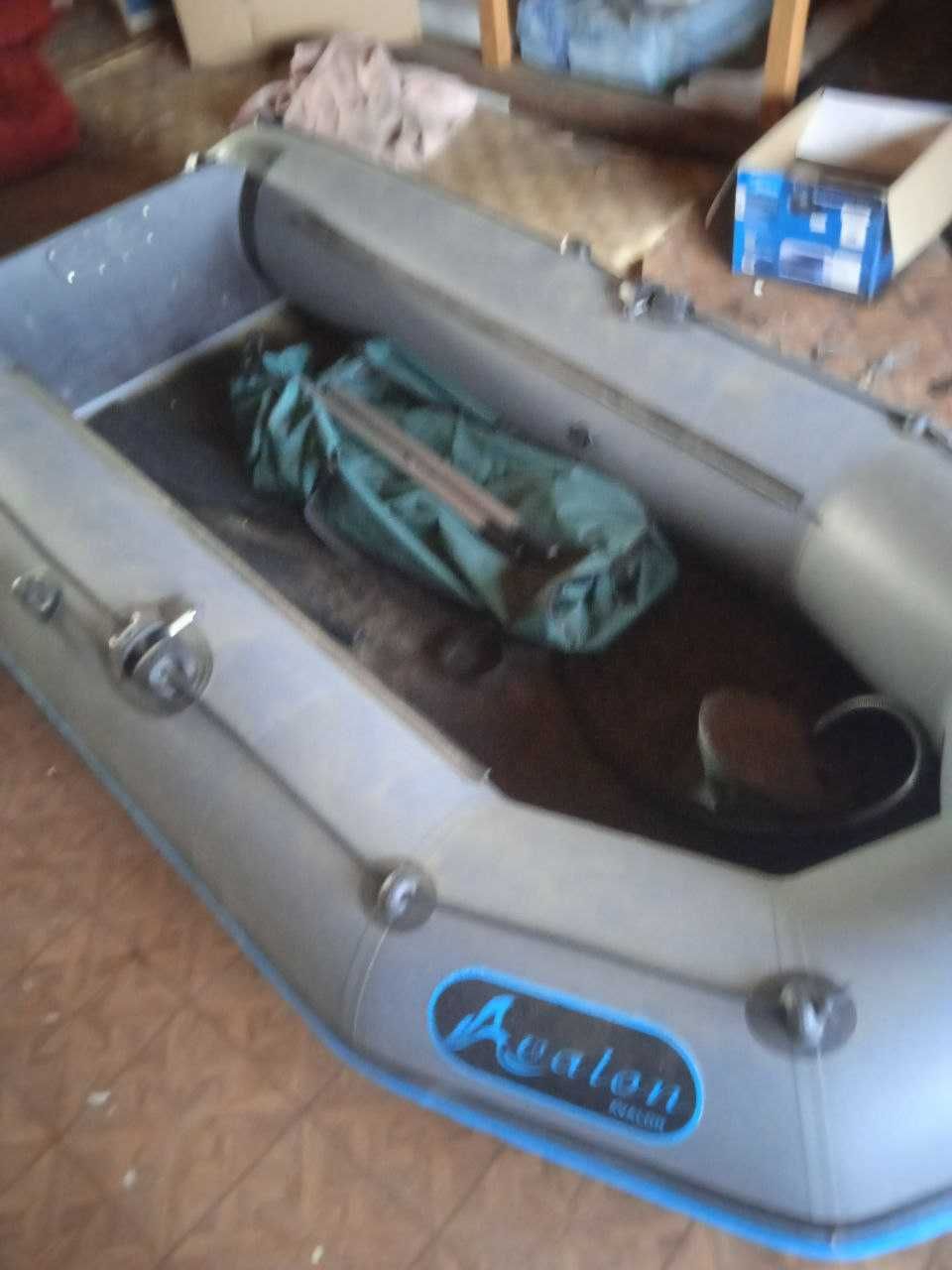 Лодка Avalon 310