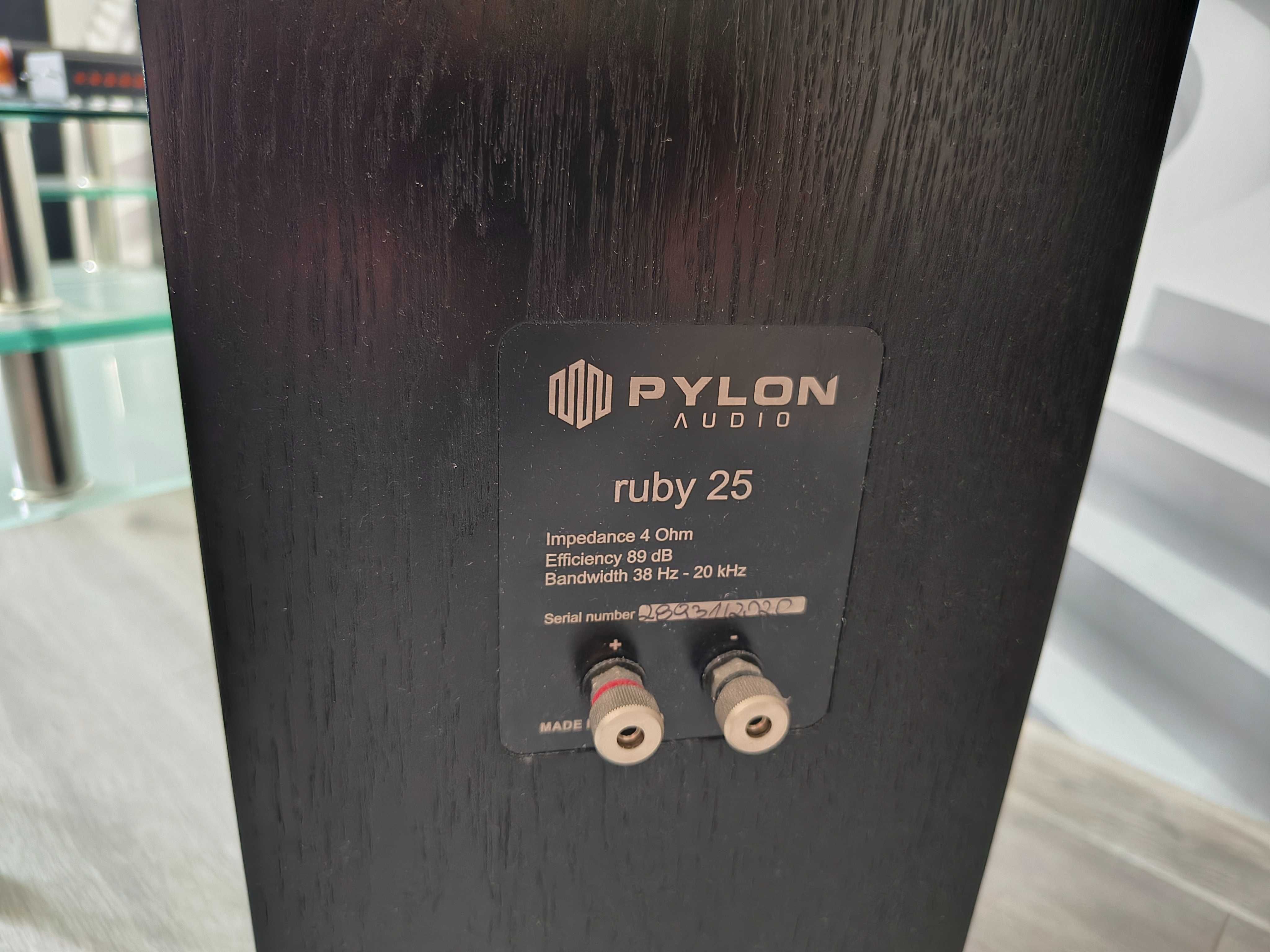 Pylon Ruby 25,Fosi audio,dac i monobloki