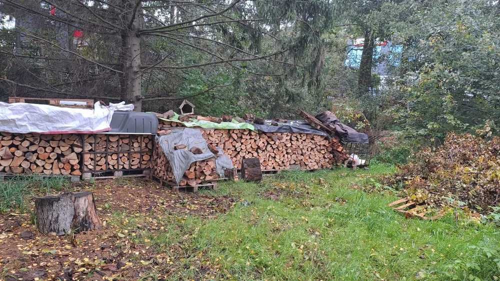 Sprzedaż drewna opałowego 380 zł