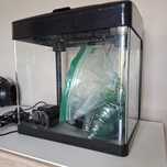 Akwarium 32l zestaw