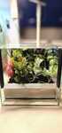 Terrarium 20x20x20
