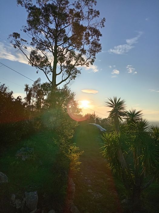 T0 em terreno construtivel 900m2