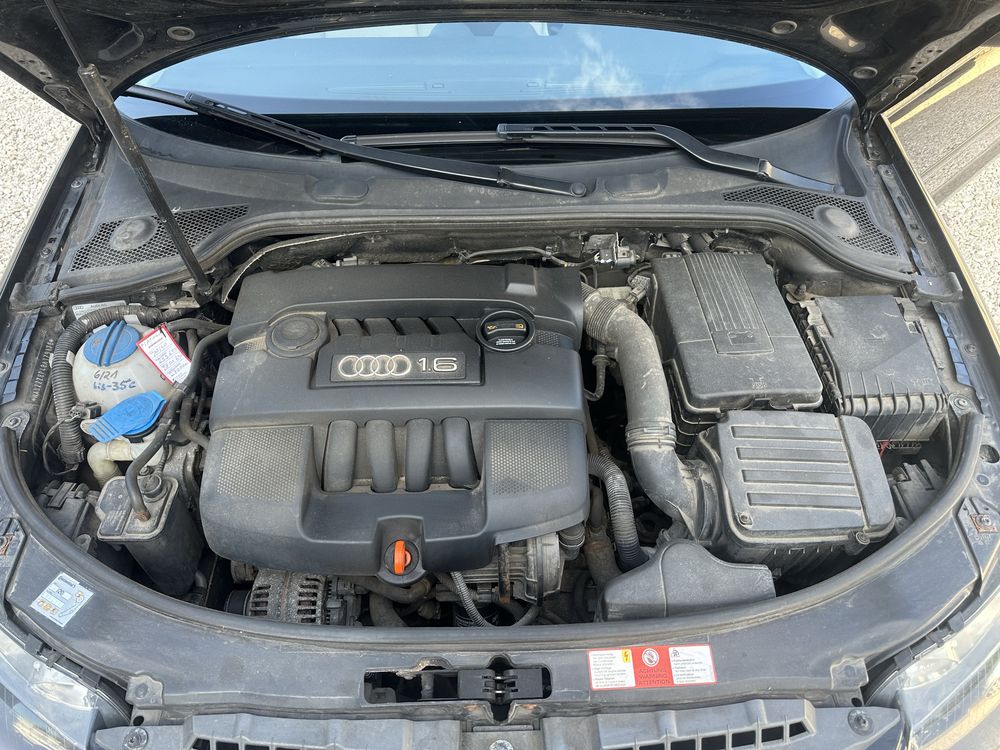 Audi A3 1.6 MPI * Klimatyzacja * Długie oplaty *