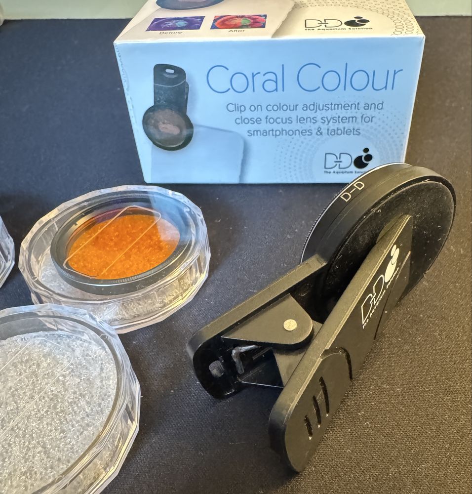 D-D Coral Colour