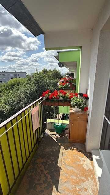 Mieszkanie w Słupcy przy ul Orzeszkowej ok 60m2 centrum