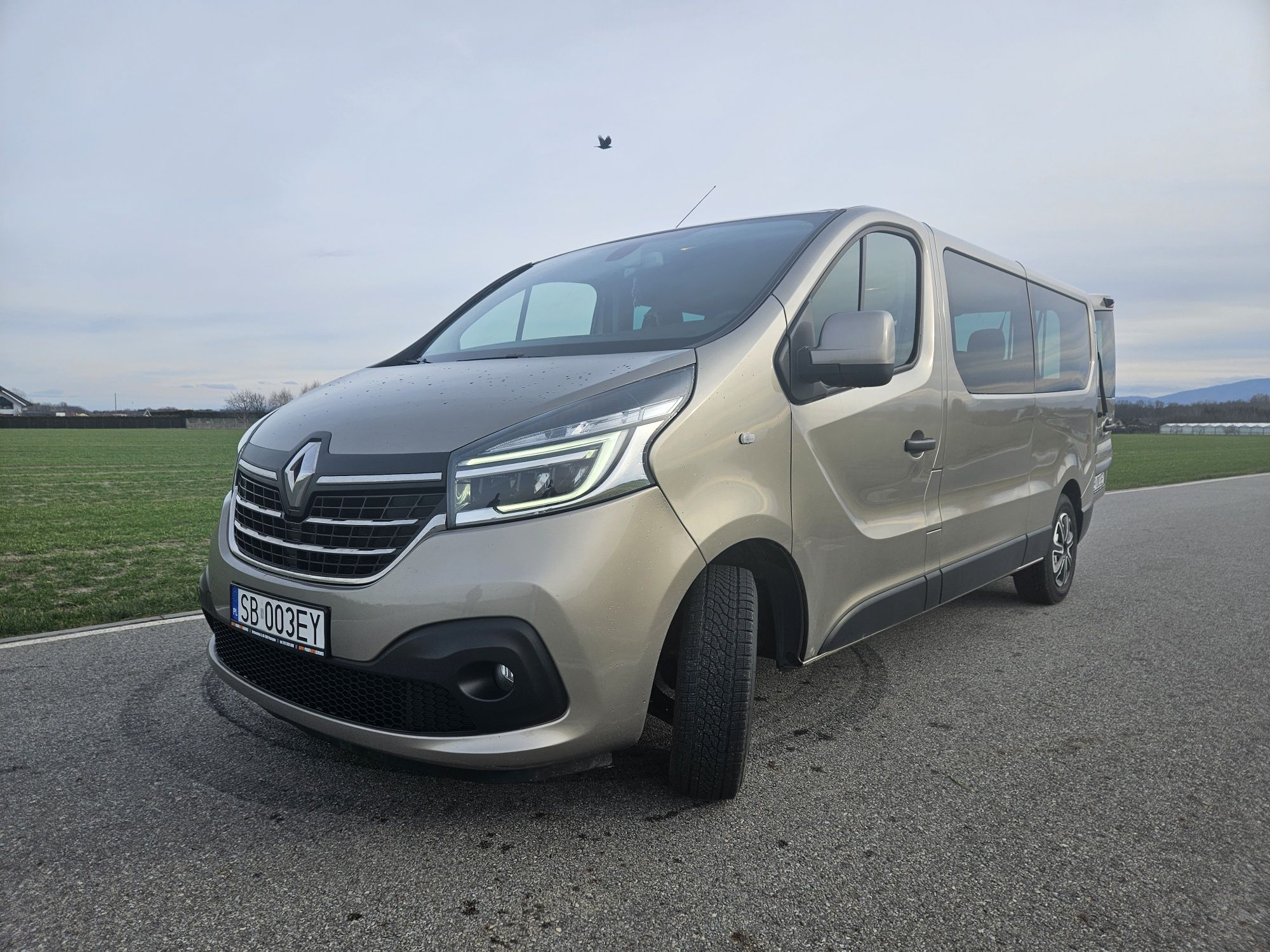 Wynajem busa 9osobowego Renault Trafic