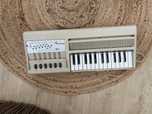 Orgão bontempi b3 com caixa