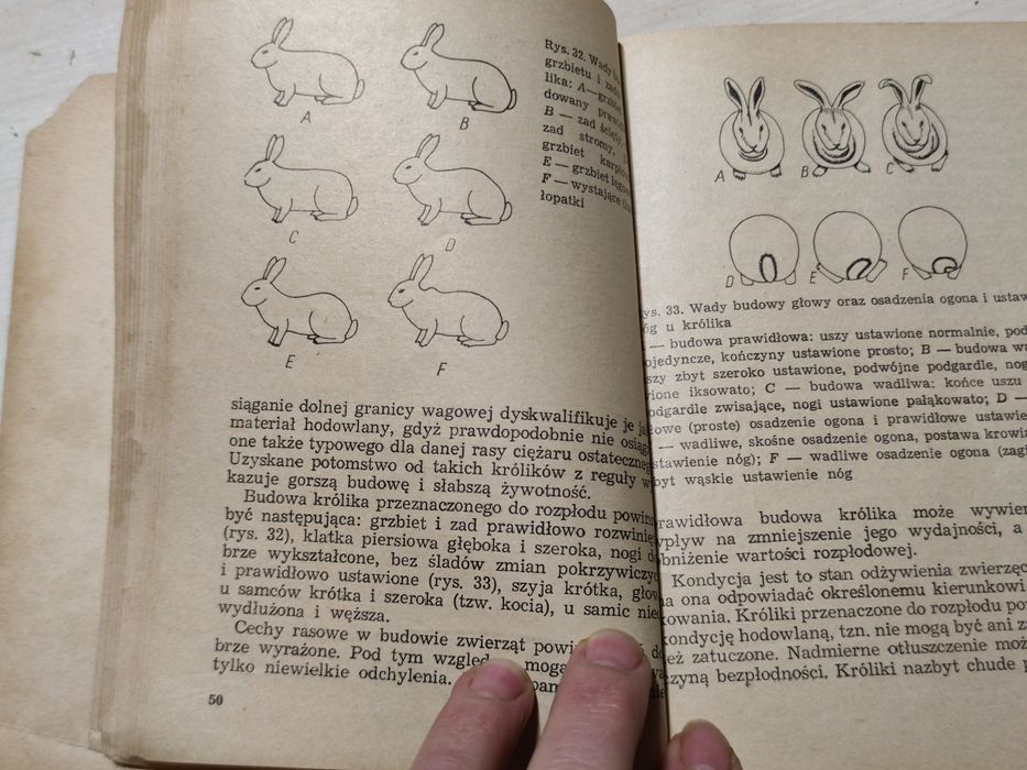 Chów królików Roman Kopański