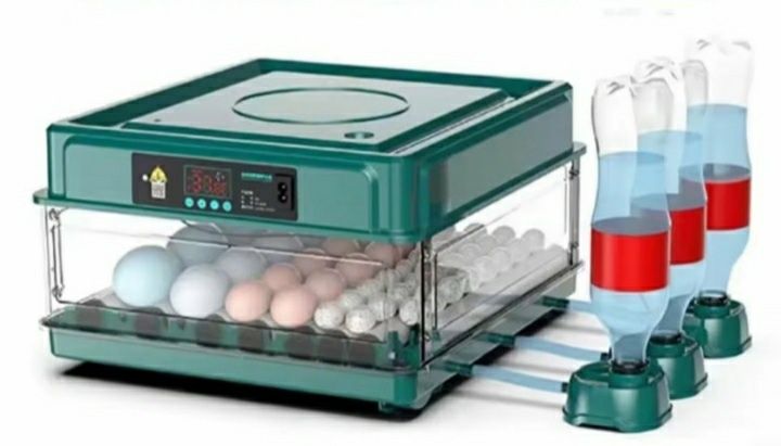 Chocadeira automática  boa taxa de nascimento
