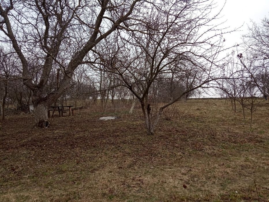 Продається земельна ділянка с.Буцніва (м.Деражня)