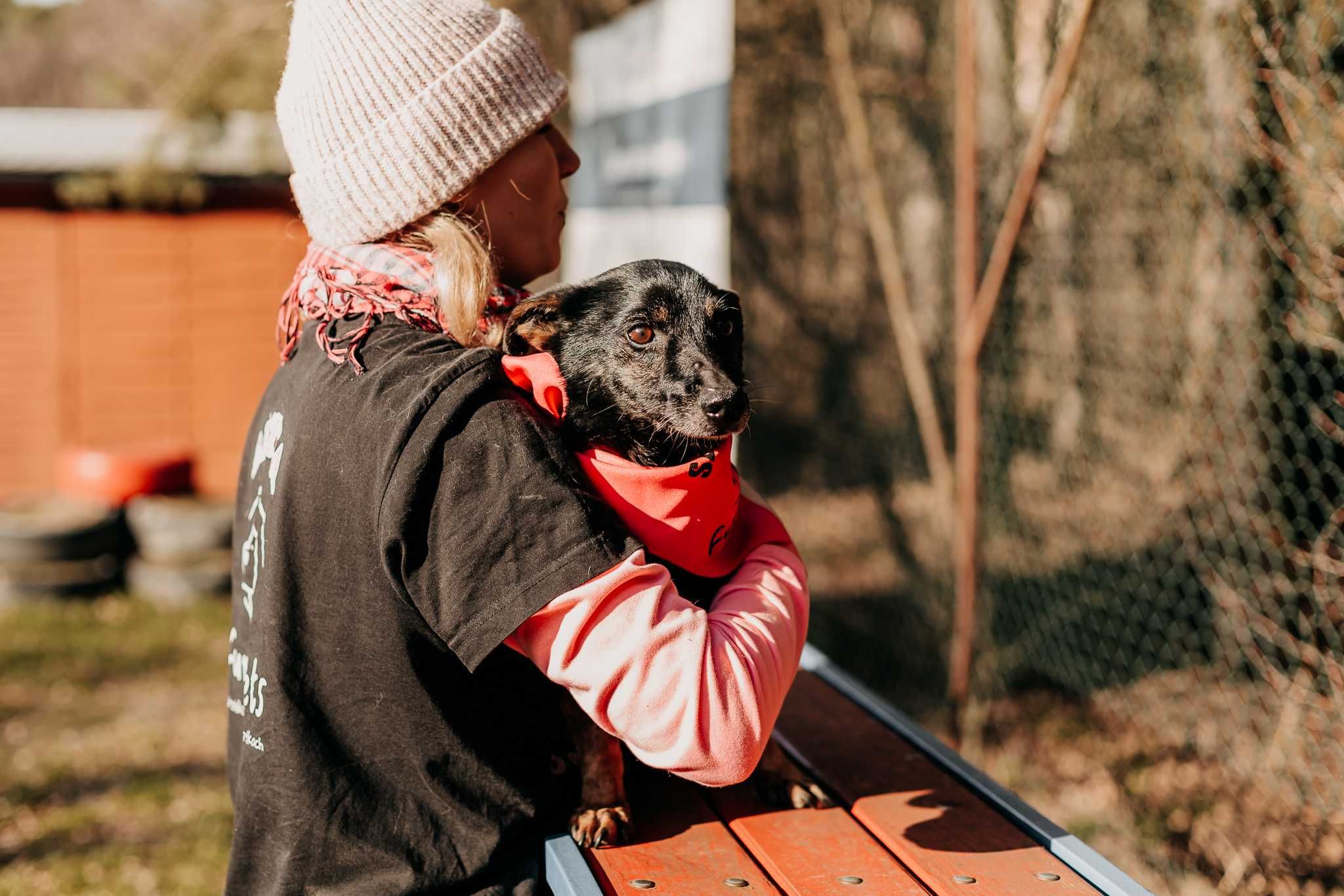 Bardzo delikatny Lupi poleca się do adopcji!!!