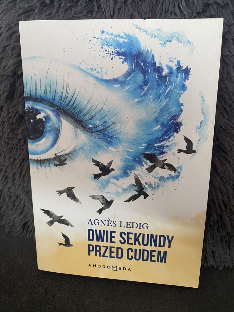 Dwie sekundy przed cudem Agnes Ledig