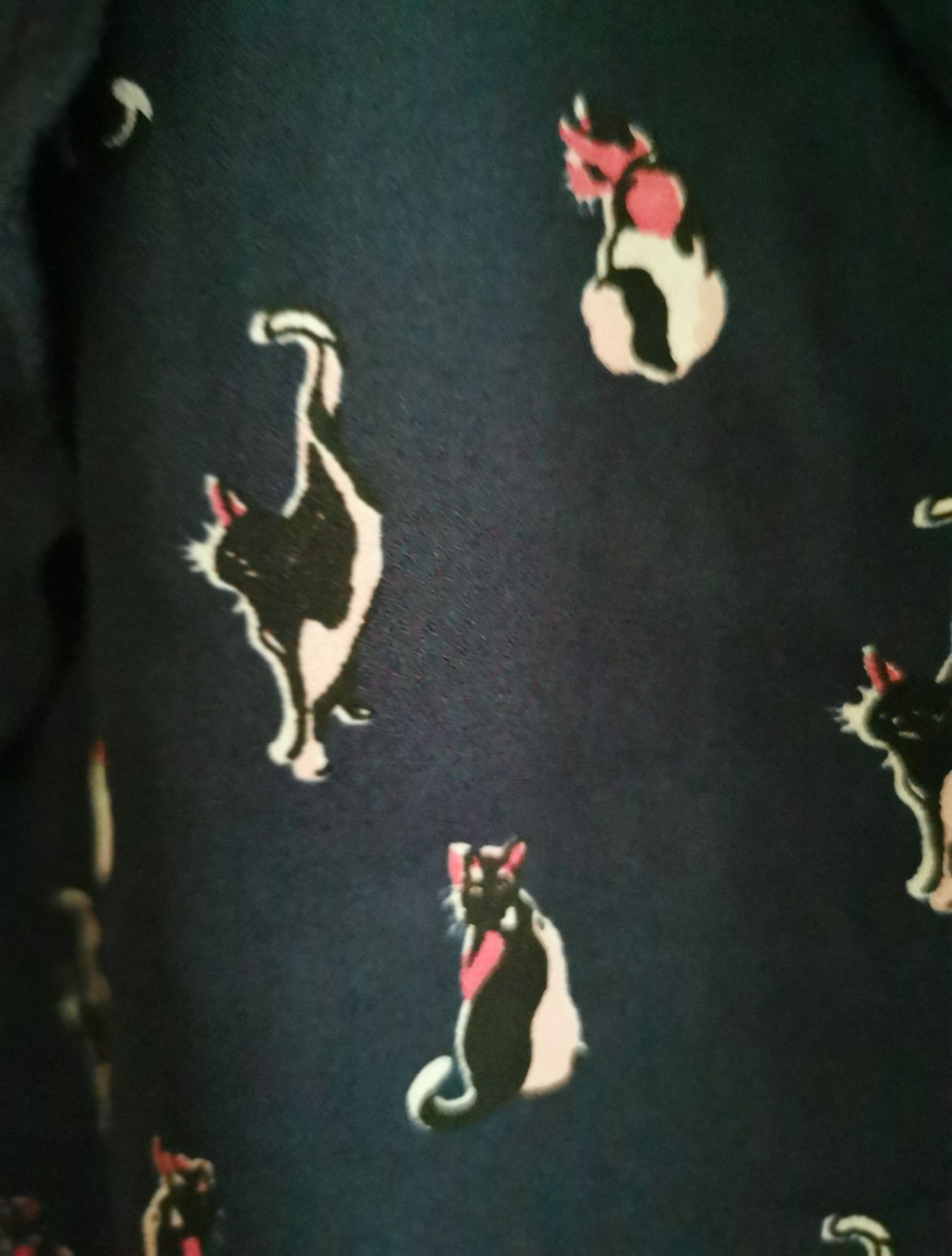 Bluzka w koty. Per una, r. 38.