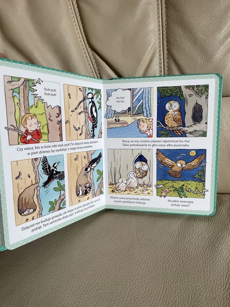 Nowa książka obrazki dla maluchów las twarde strony