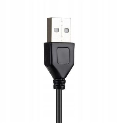 Lampka Biurkowa 2W1 Usb Czarna Wysięgnik 230V