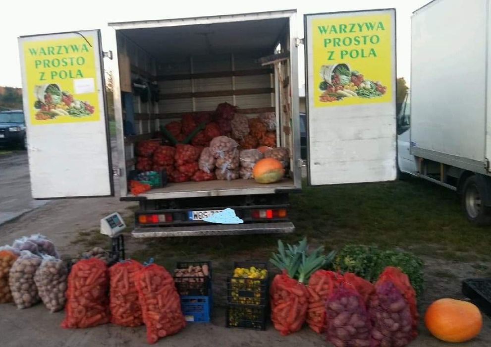 Marchewka jadalna/paszowa