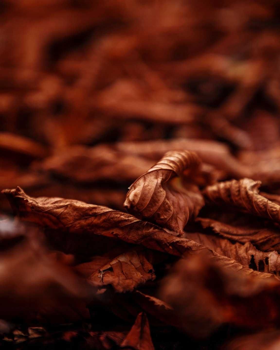 Wosk zapachowy do kominków AROMMA Tytoń i Miód 2 sztabki x 45 G.