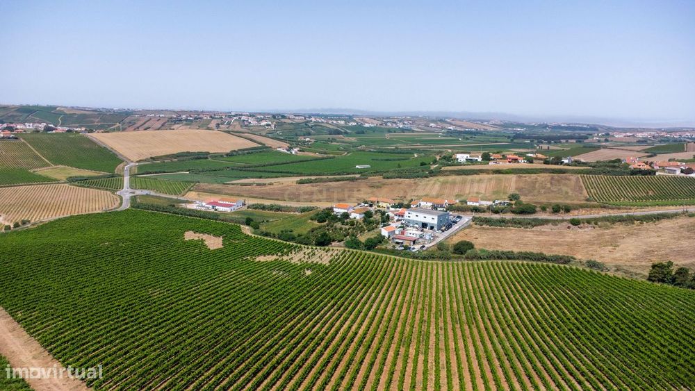 Pequena Quinta em Bonabal – Ventosa, Torres Vedras