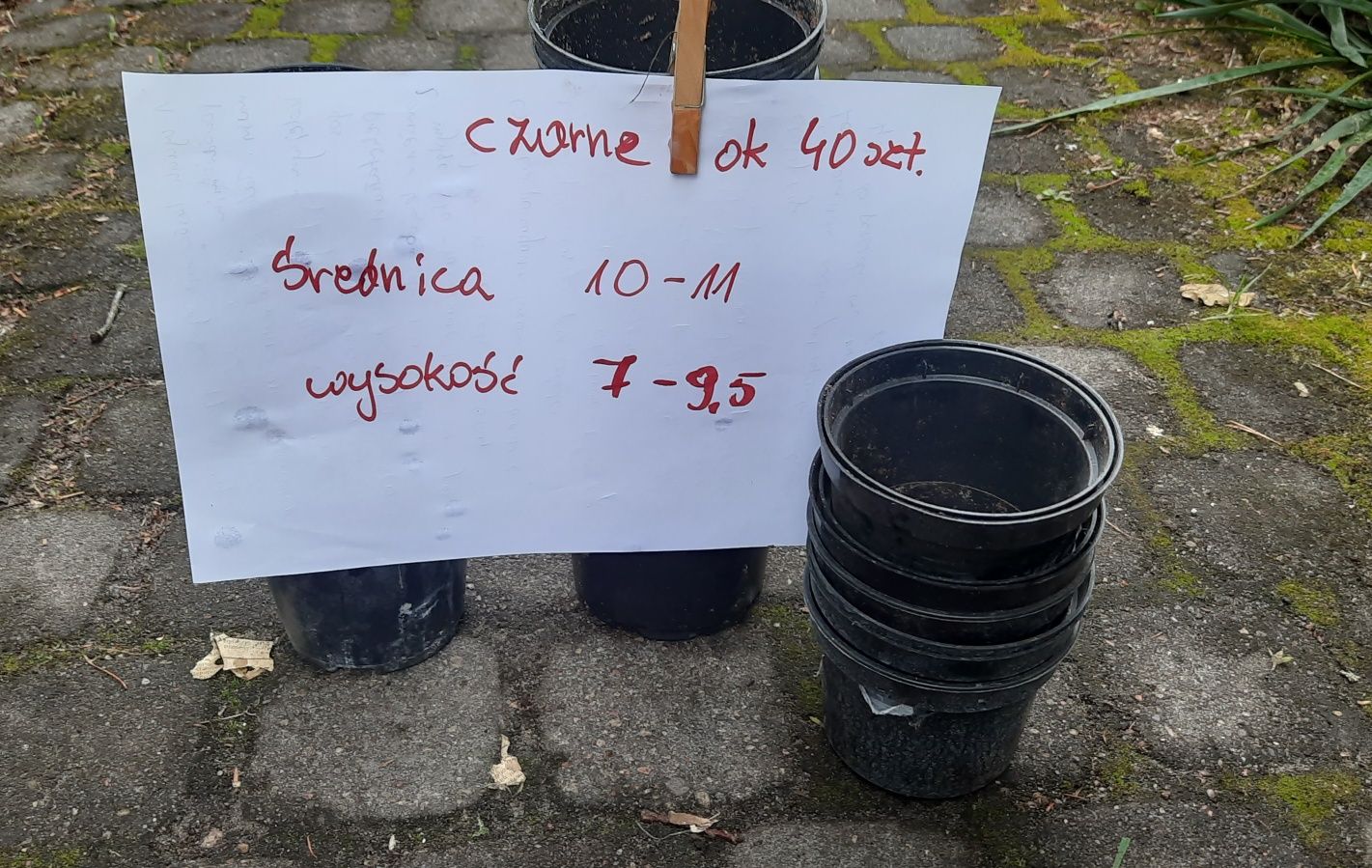 Doniczki produkcyjne oddam za 1 zł