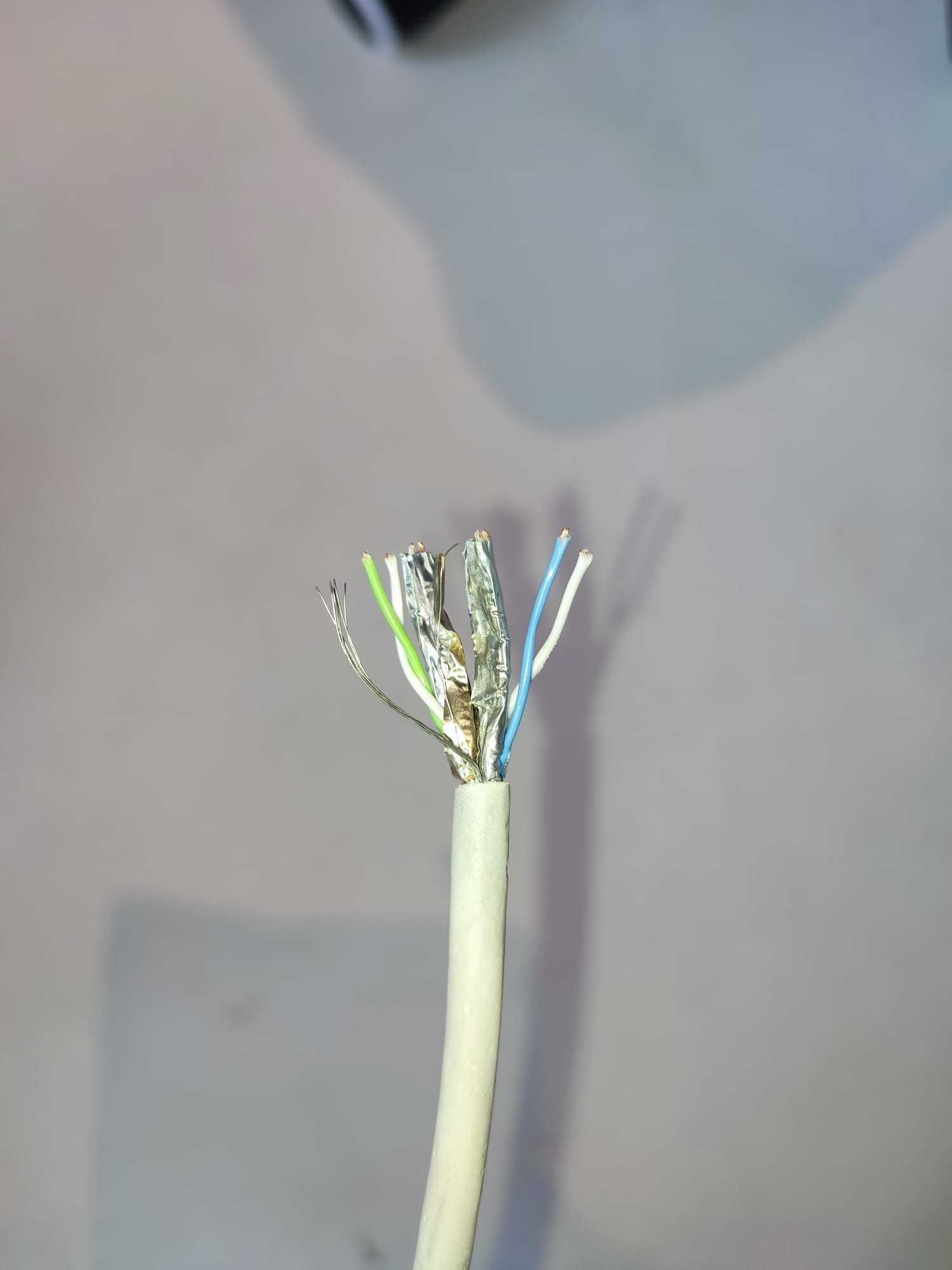 Kabel UTP, kat. 6, Molex Premise Networks