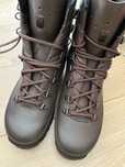 Lowa Mountain Boot Gtx