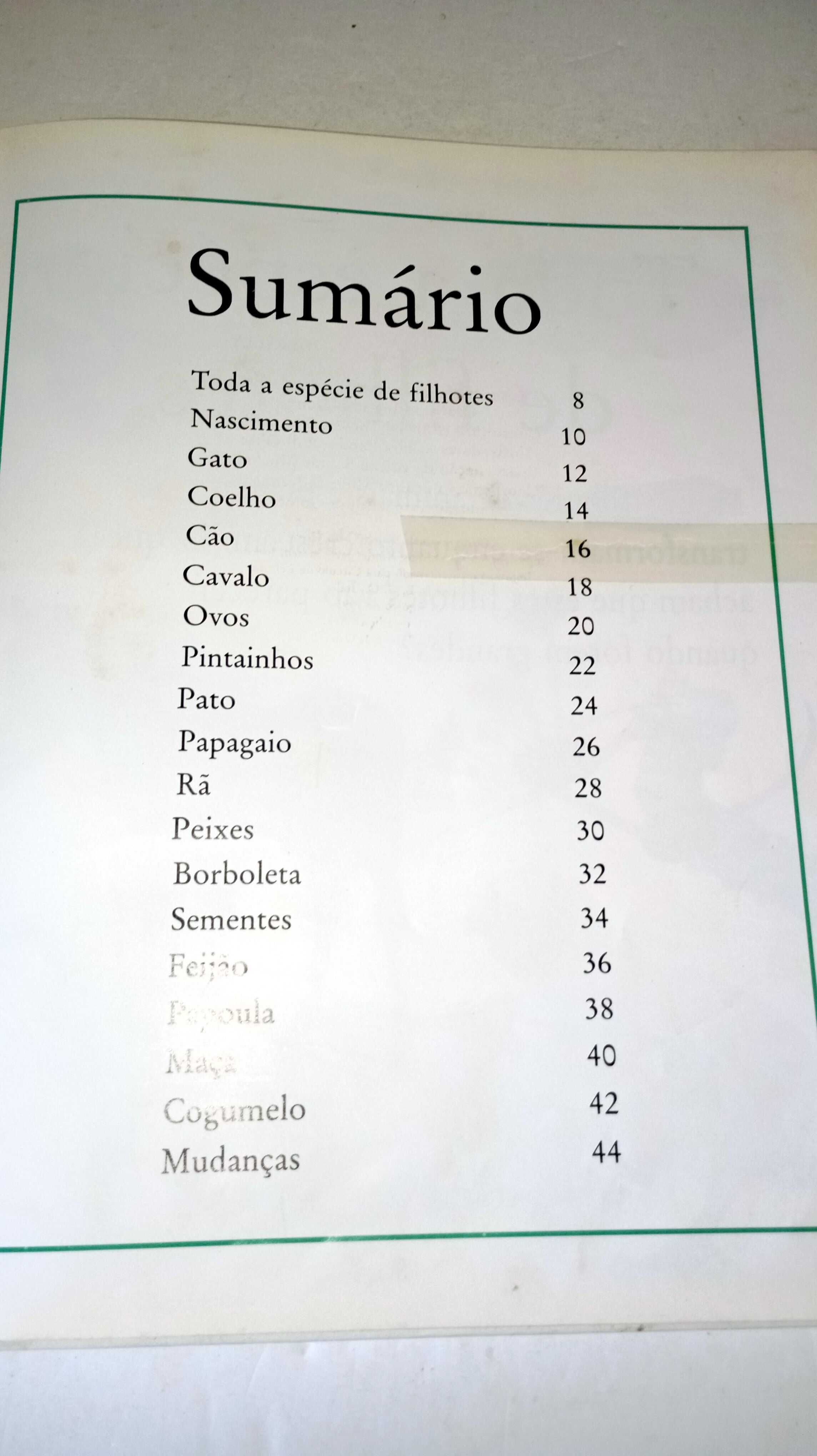 Como Crescem - Animais e Plantas