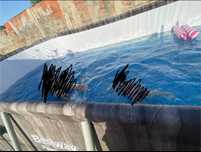 Piscina bestwayy