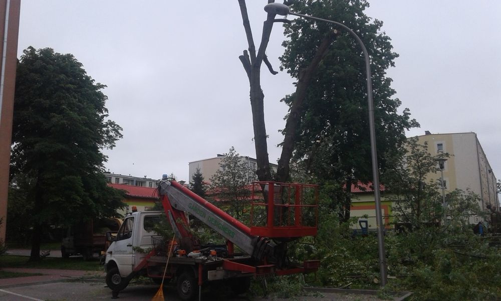 Wycinka drzew karczowanie pod inwestycję