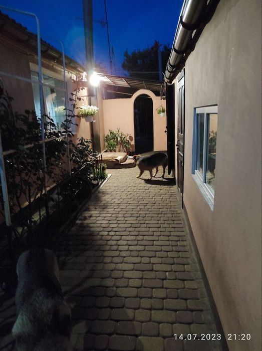 Продам будинок Павлоград продам дом