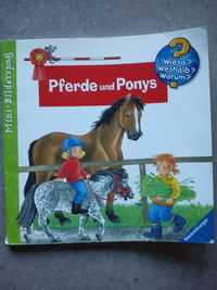 Didactic german book - Pferde und Ponys