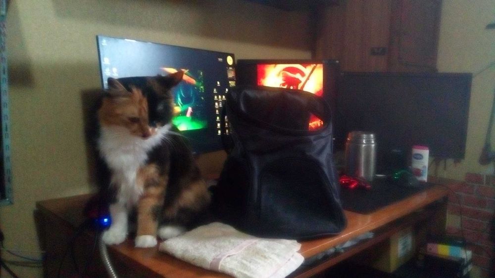 Рюкзак-переноска для тварин малих порід Lesko SY210815 Black 500грн