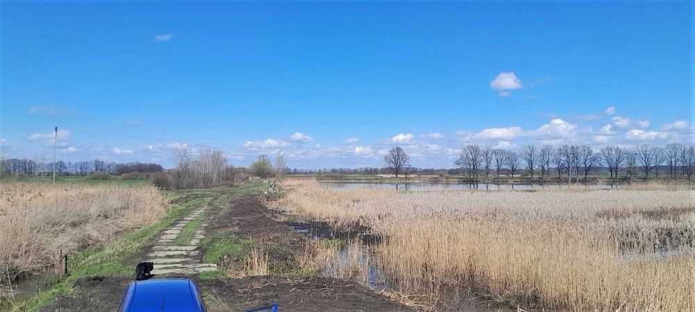 Staw hodowlany, działka w ładnej okolicy / łowisko rekreacja biznes