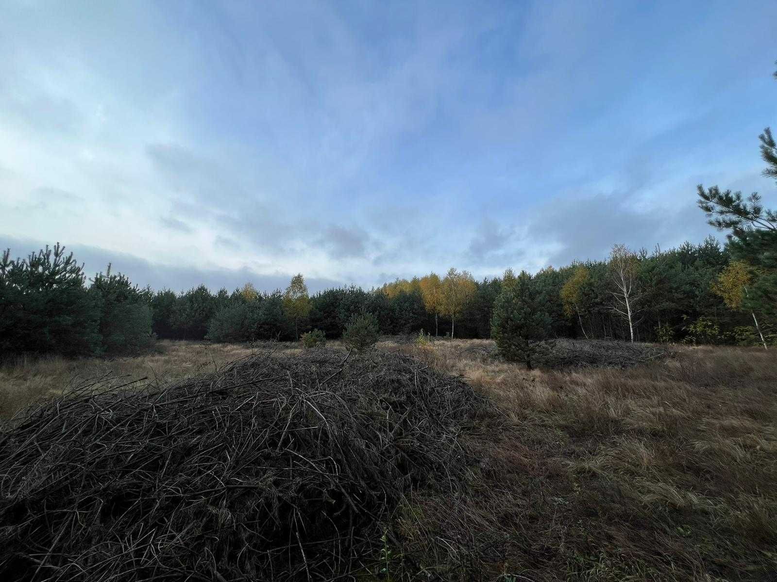 Super działka przy lesie pod budowę 7100 m2, możliwość podzielenia!!