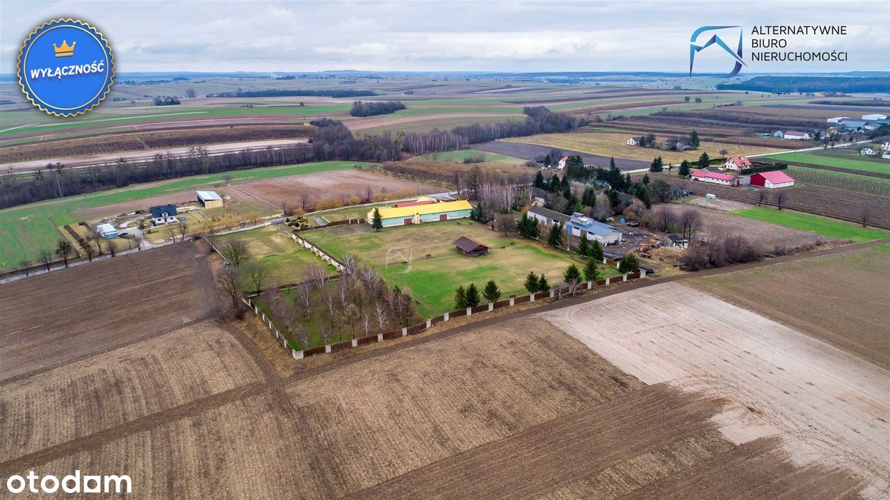2,18 Ha - Możliwość 50% wpłaty + raty bez banku