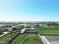 Armazém em Atouguia da Baleia, Peniche